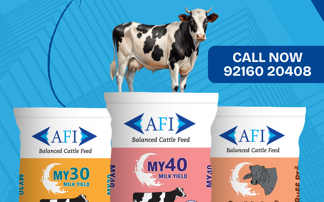 Cattle Feed Manufacturers