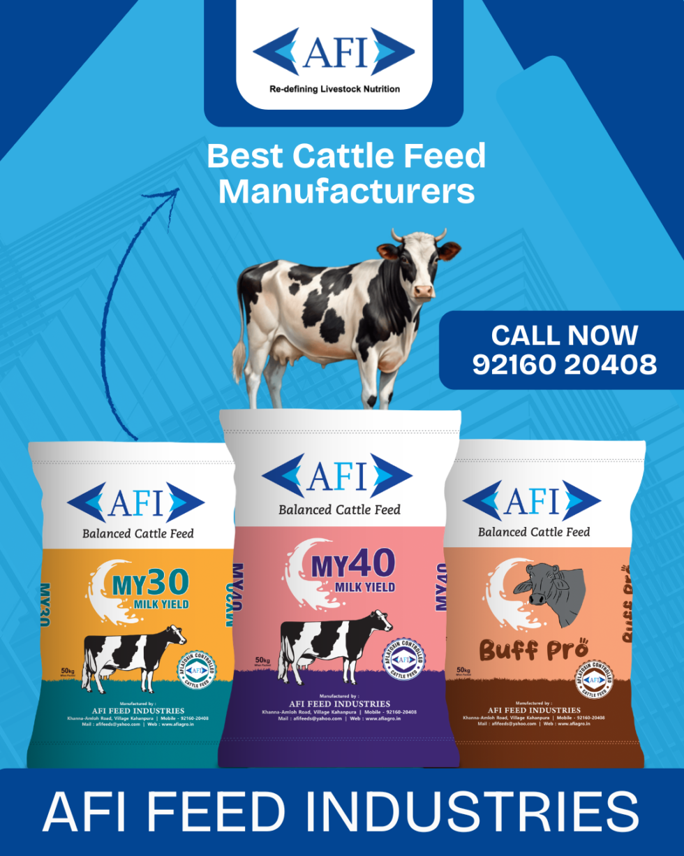 Cattle Feed Manufacturers | AFI Feeds
