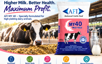 AFI Feed Industries is proud to offer MY 40